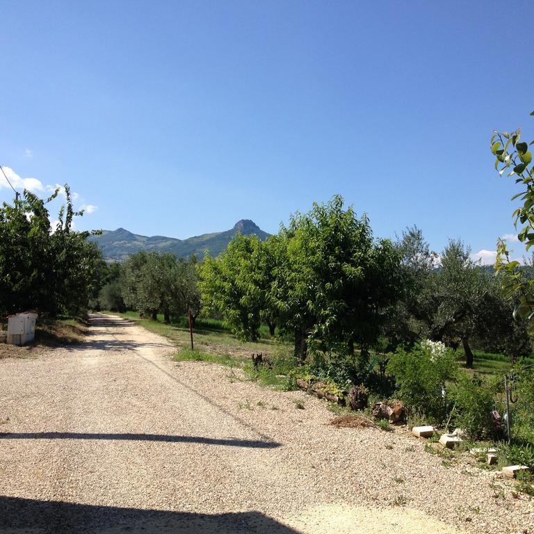 Villa Masseria Spadone Civitella Casanova Exterior foto